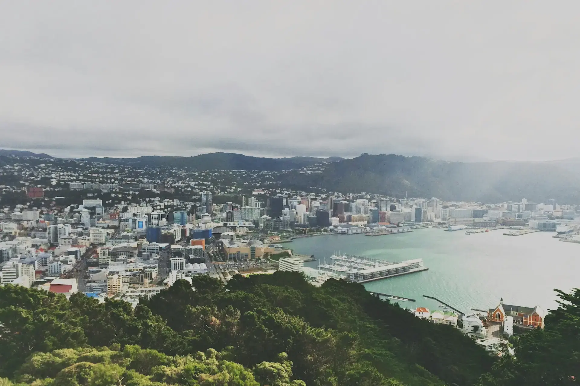 Aerial view of Wellington beside the harbour